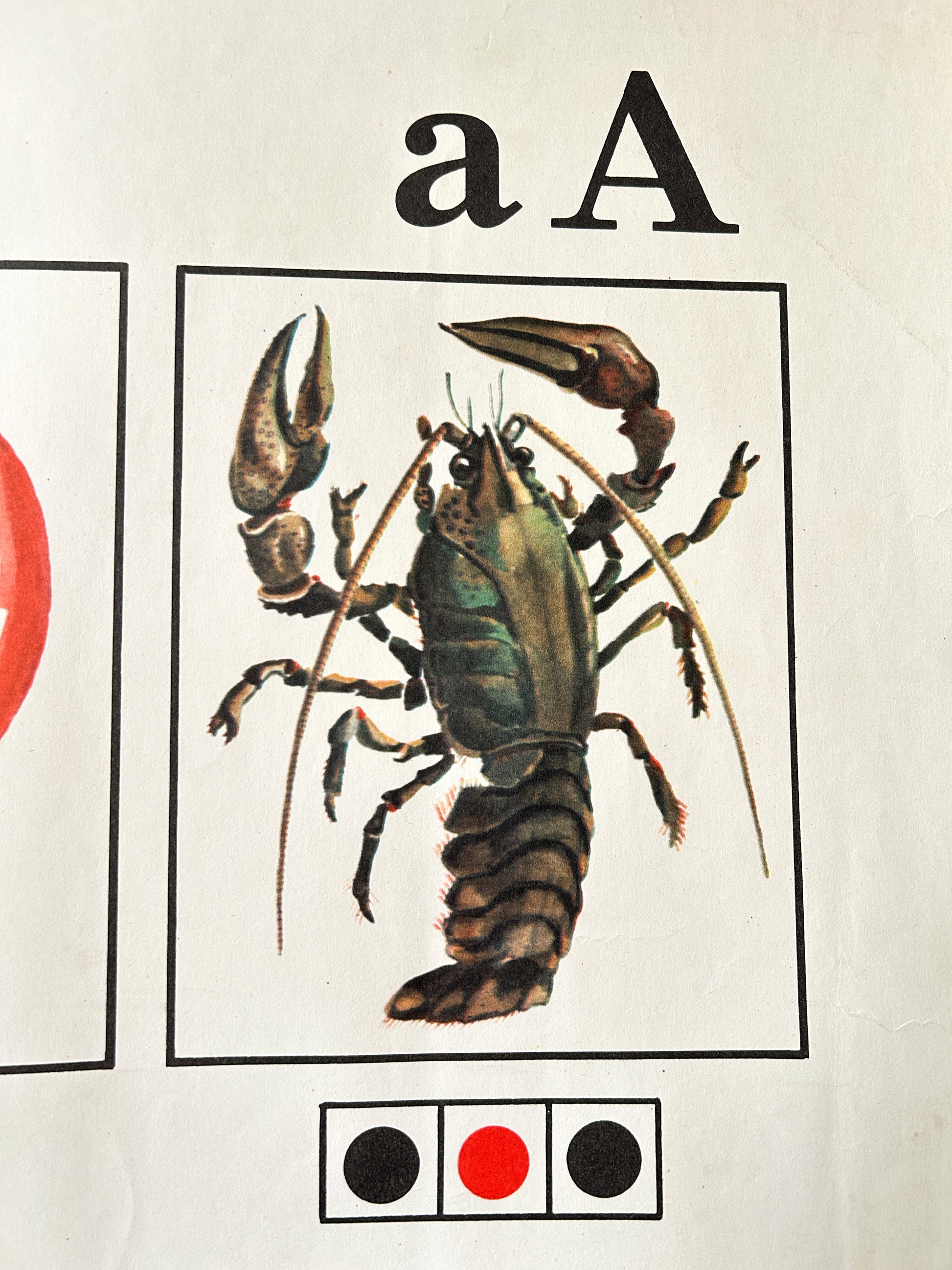 A close-up of a USSR vintage children's alphabet poster showing the letter 'A' above an illustrated crayfish, and a phonetic diagram.