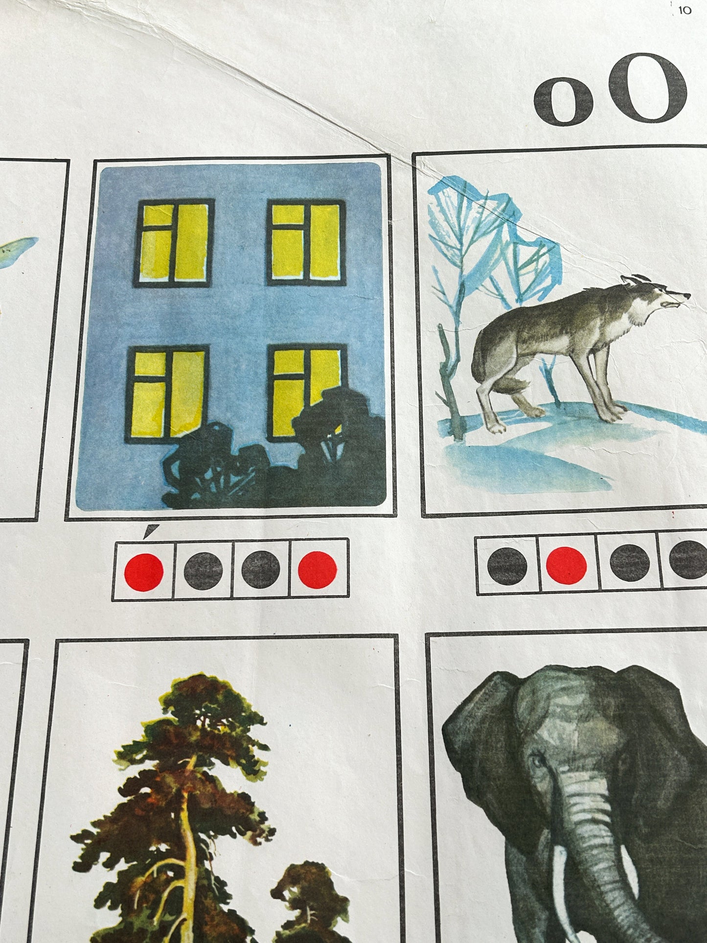 Rare 1978 Original USSR Vintage Phonetic Russian Alphabet Nursery Poster: Letter O, Kids & Toys, Rose, Wolf, Elephant | Soviet-Era Educational School Chart