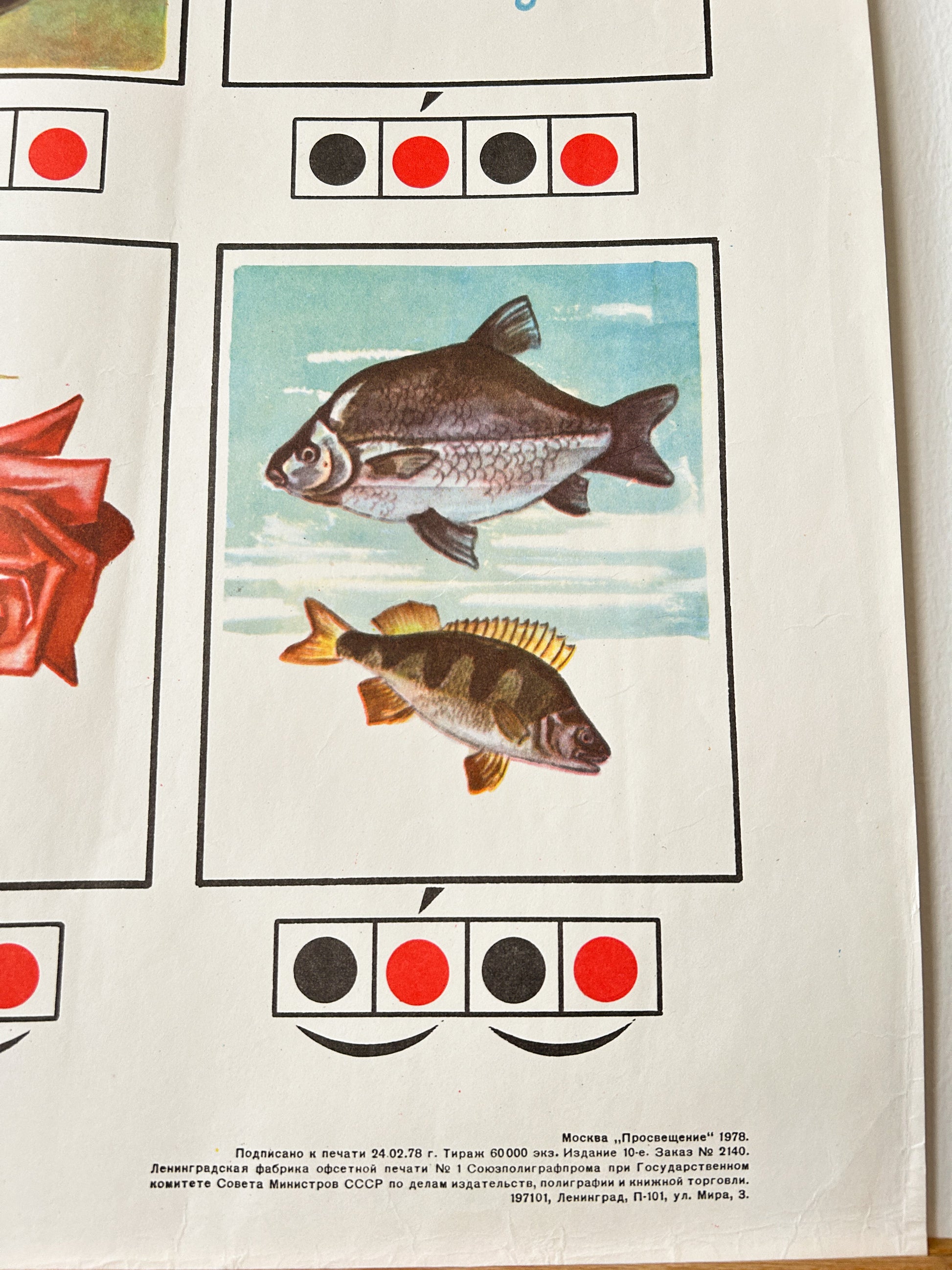 Close up detail of a USSR vintage children's phonetic alphabet poster illustrating a pair of fish and a phonetic diagrams above and below. 