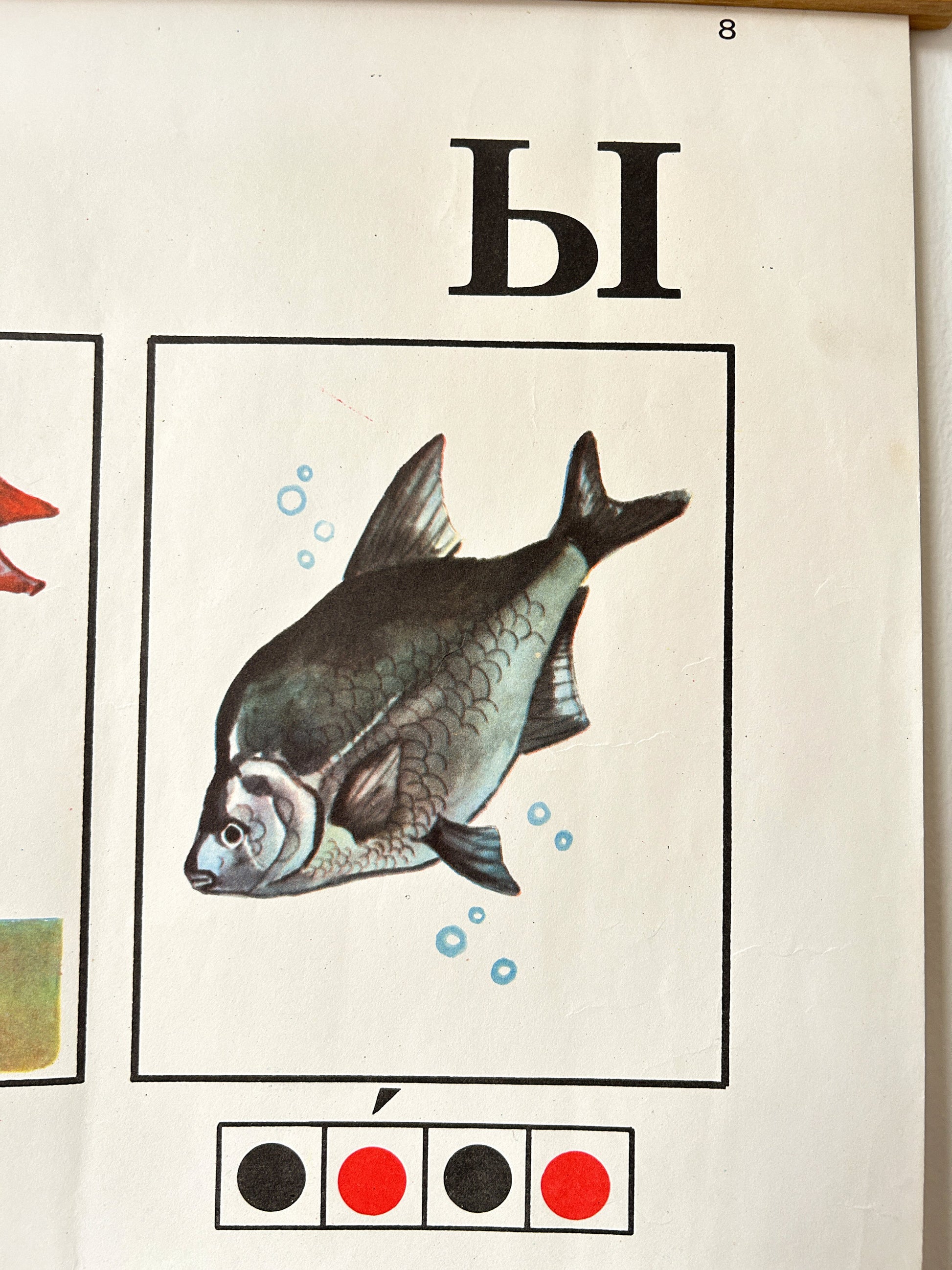 Detail of a 1978 USSR vintage phonetic Russian alphabet nursery poster for the letter Ы, with illustration of fish and a phonetic diagram at the bottom. 