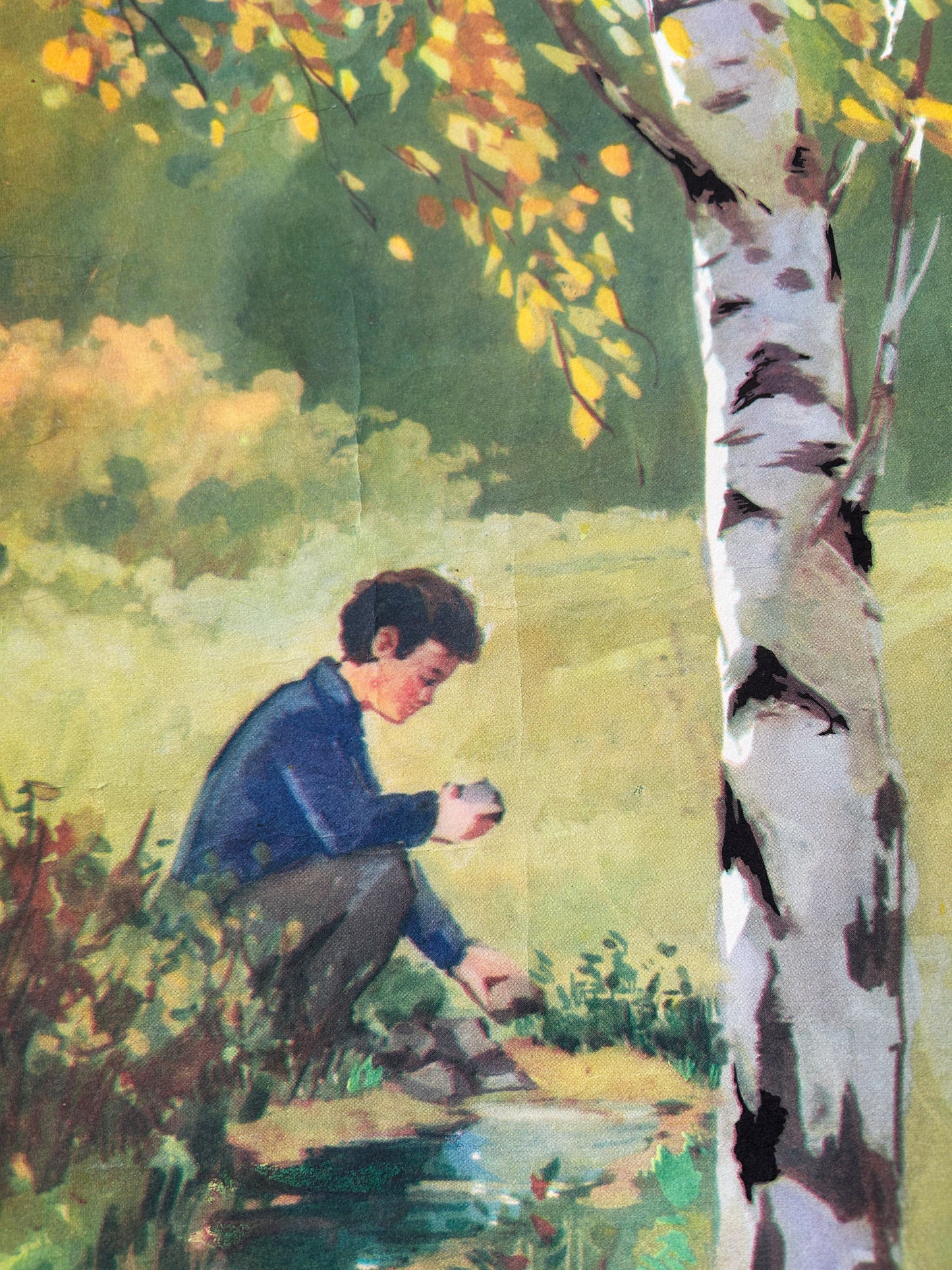 Detail of a Soviet vintage educational school poster on the importance of looking after the woodland, depicting a boy sitting next to a stream in the forest.