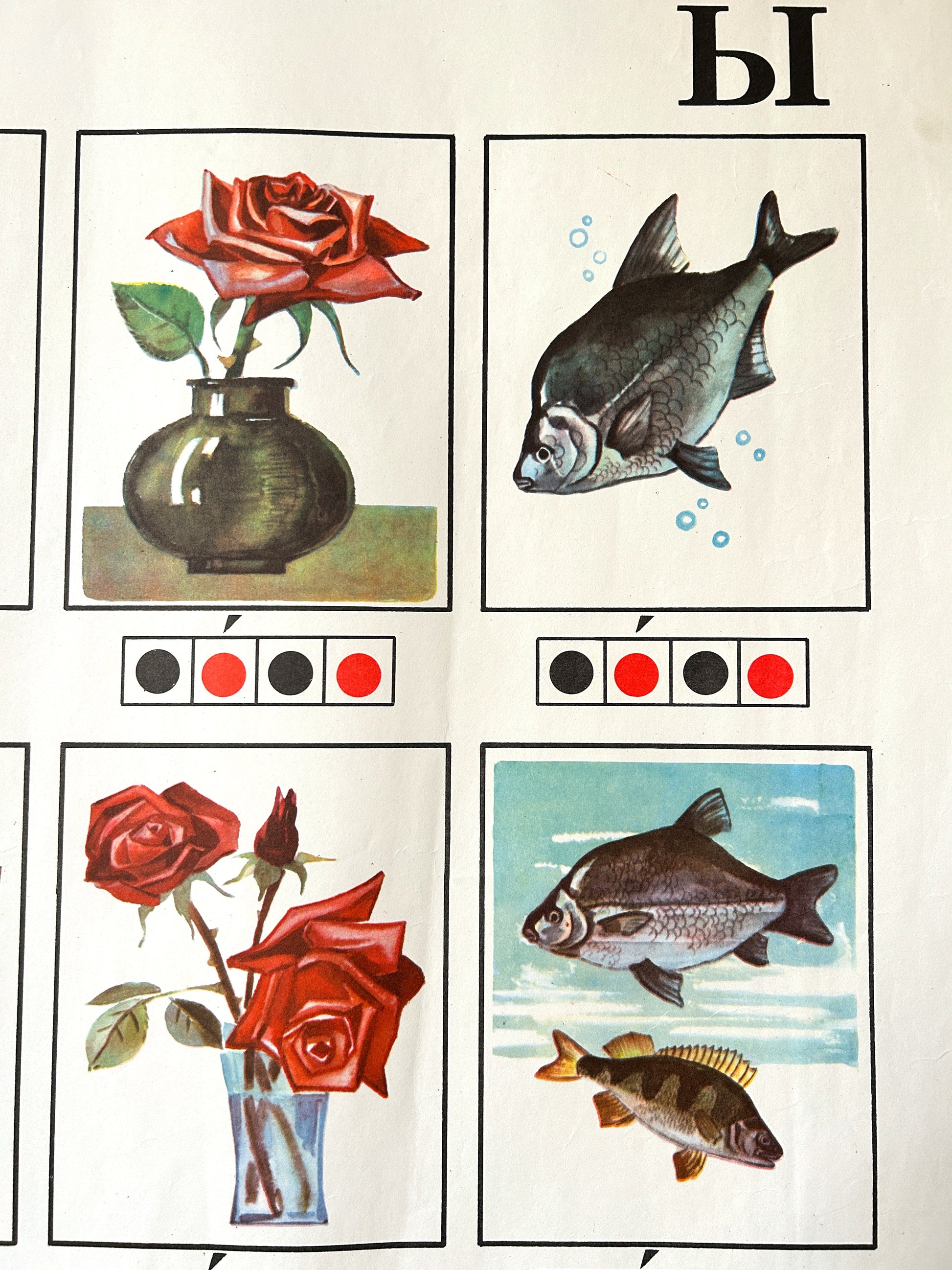 Detail of a mid century USSR children's educational alphabet poster for the letter Ы, with illustrations of roses and fish and phonetic diagrams below.