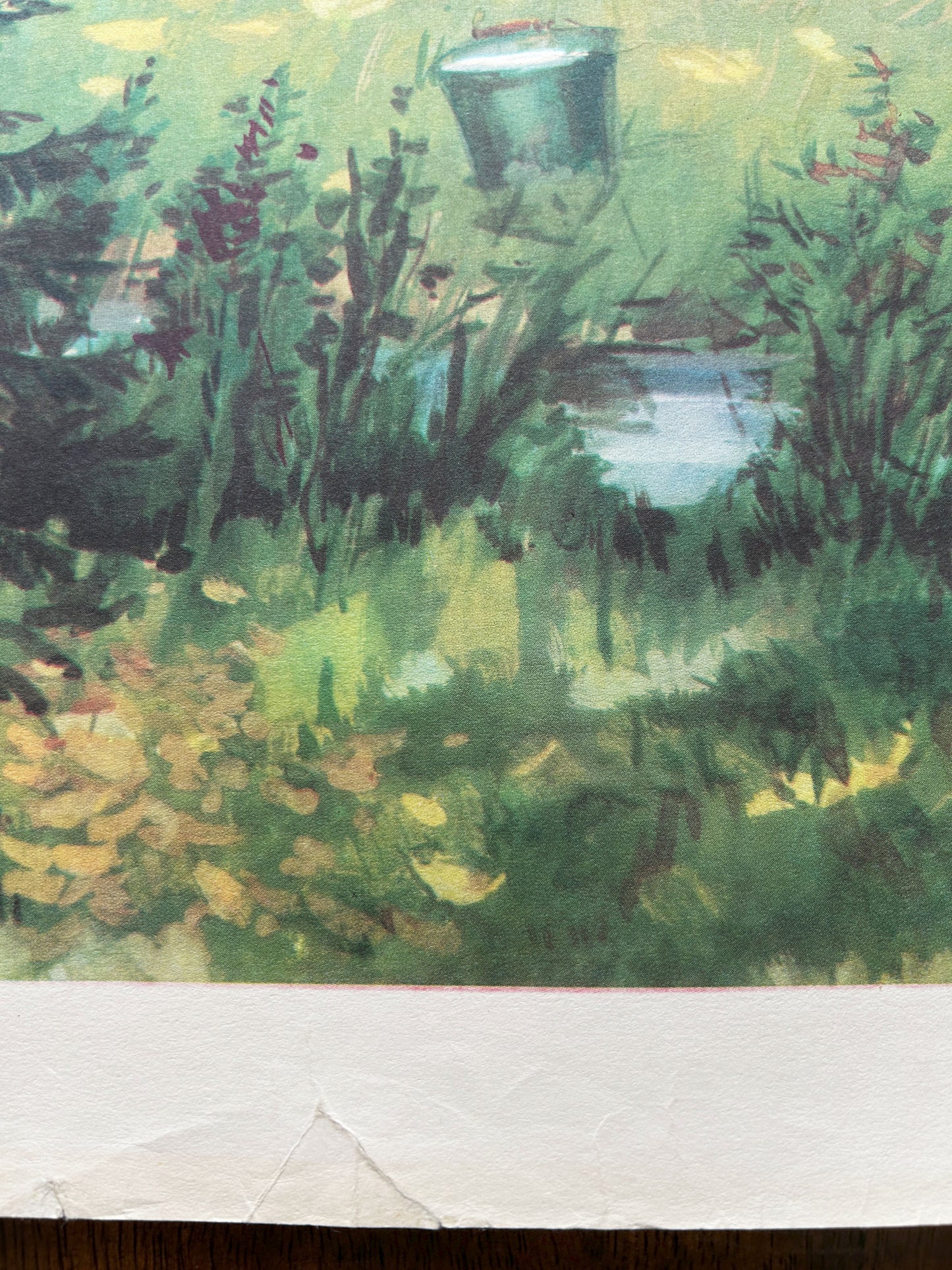 Large Original Soviet Vintage Educational Woodland Landscape Poster | 1986 USSR School Chart on Environmental Care