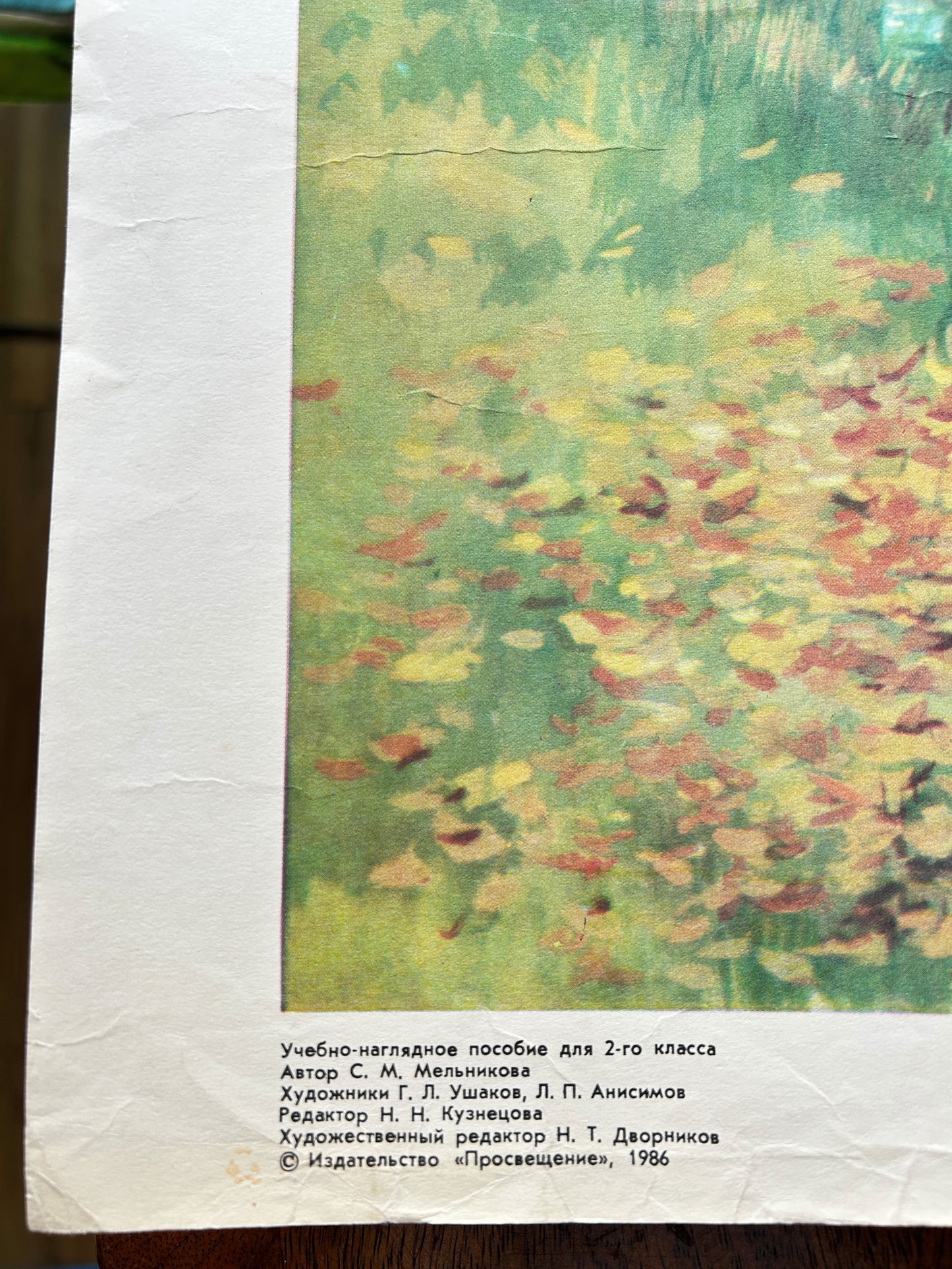 Large Original Soviet Vintage Educational Woodland Landscape Poster | 1986 USSR School Chart on Environmental Care