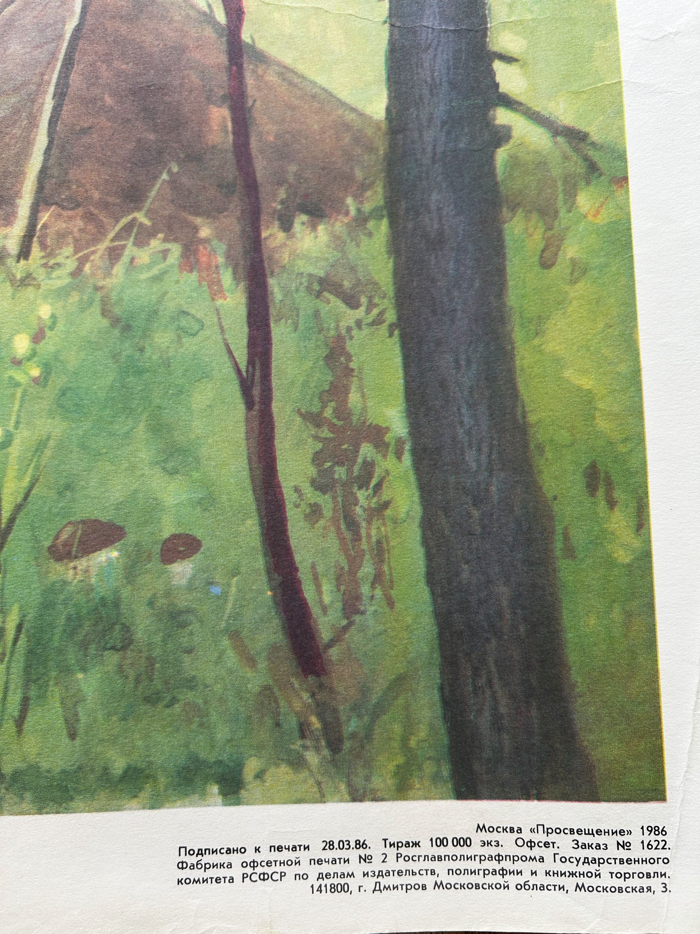 Large Original Soviet Vintage Educational Woodland Landscape Poster | 1986 USSR School Chart on Environmental Care