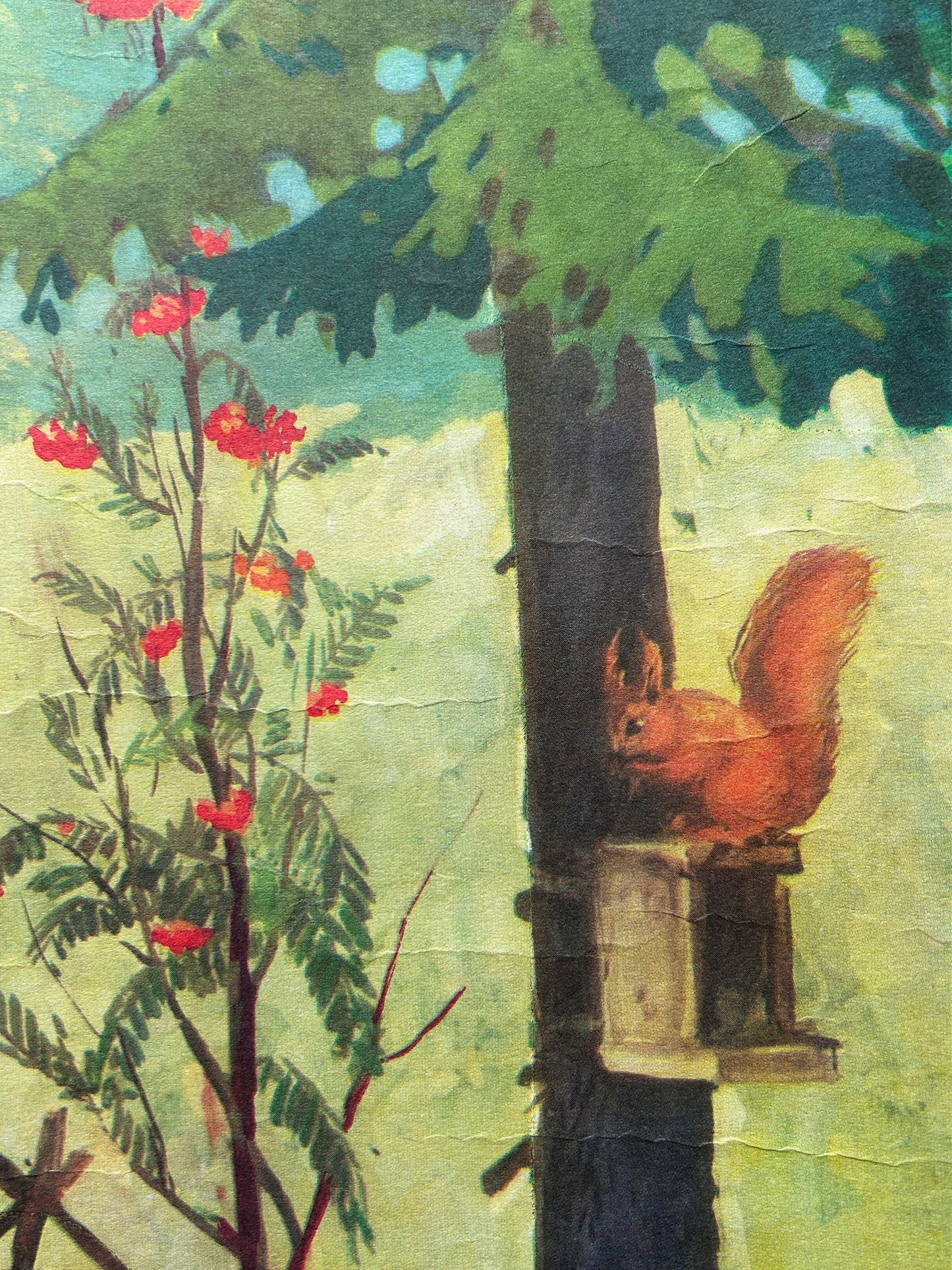 Detail of a Soviet vintage educational school poster on the importance of looking after the woodland, depicting a squirrel sitting on top of a feeder in the forest.