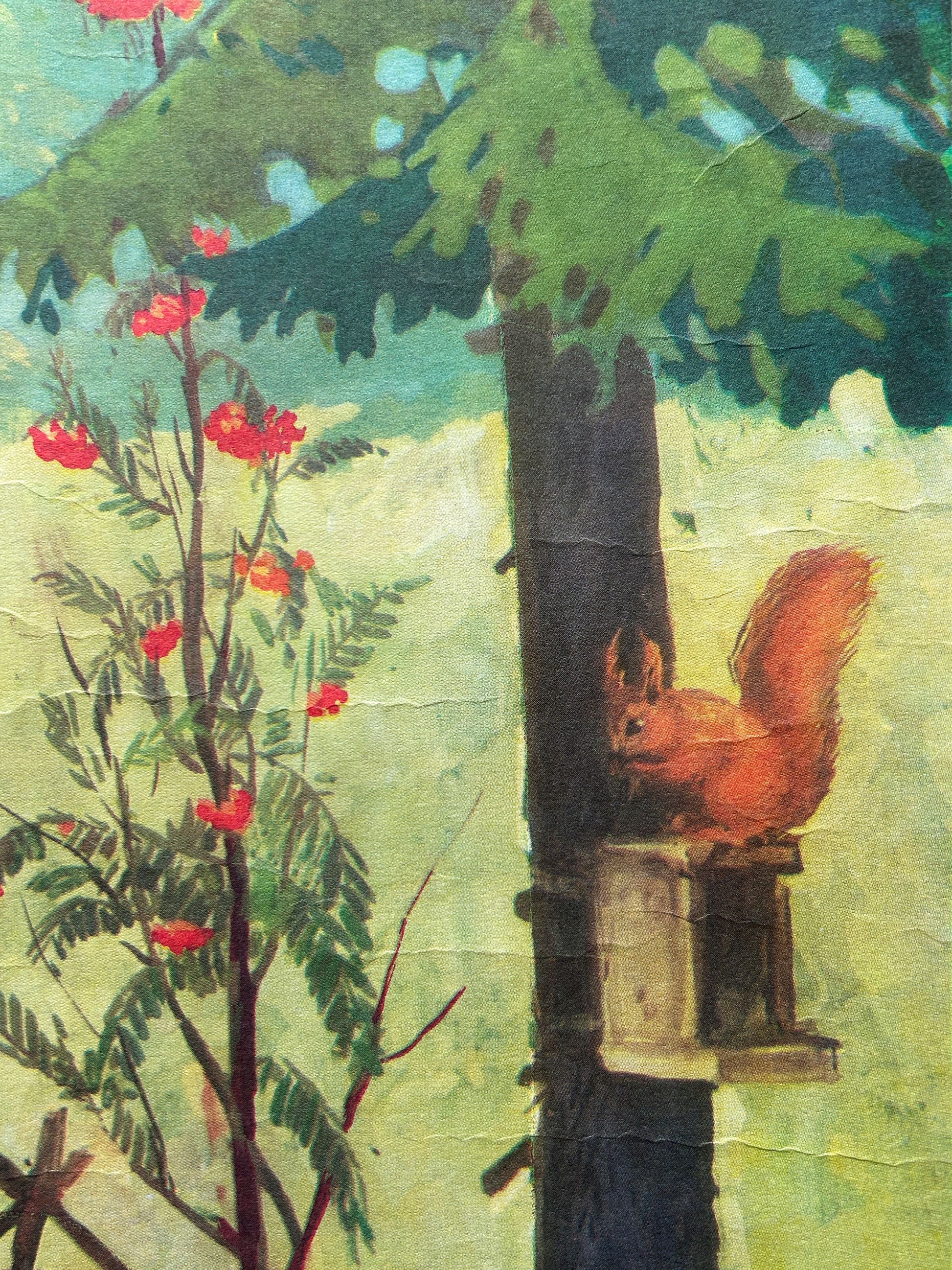 Detail of a Soviet vintage educational school poster on the importance of looking after the woodland, depicting a squirrel sitting on top of a feeder in the forest.
