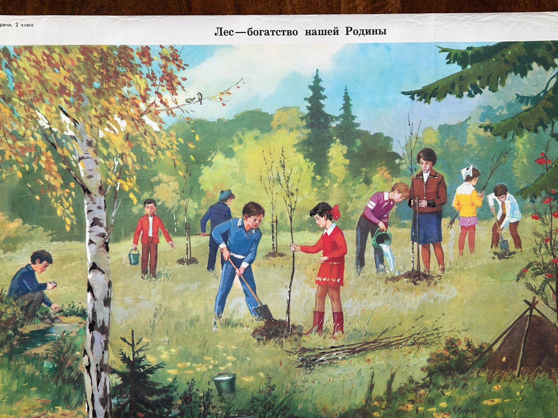 Soviet vintage educational school poster on the importance of looking after the woodland, depicting a group of children planting trees in a forest clearing.
