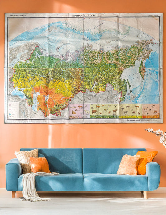 Colourful Soviet vintage educational map Nature of USSR on the wall above the sofa