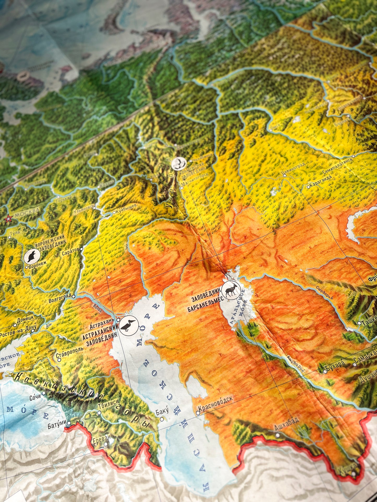 Closeup detail: Soviet vintage educational map Nature of USSR with illustrations of animals
