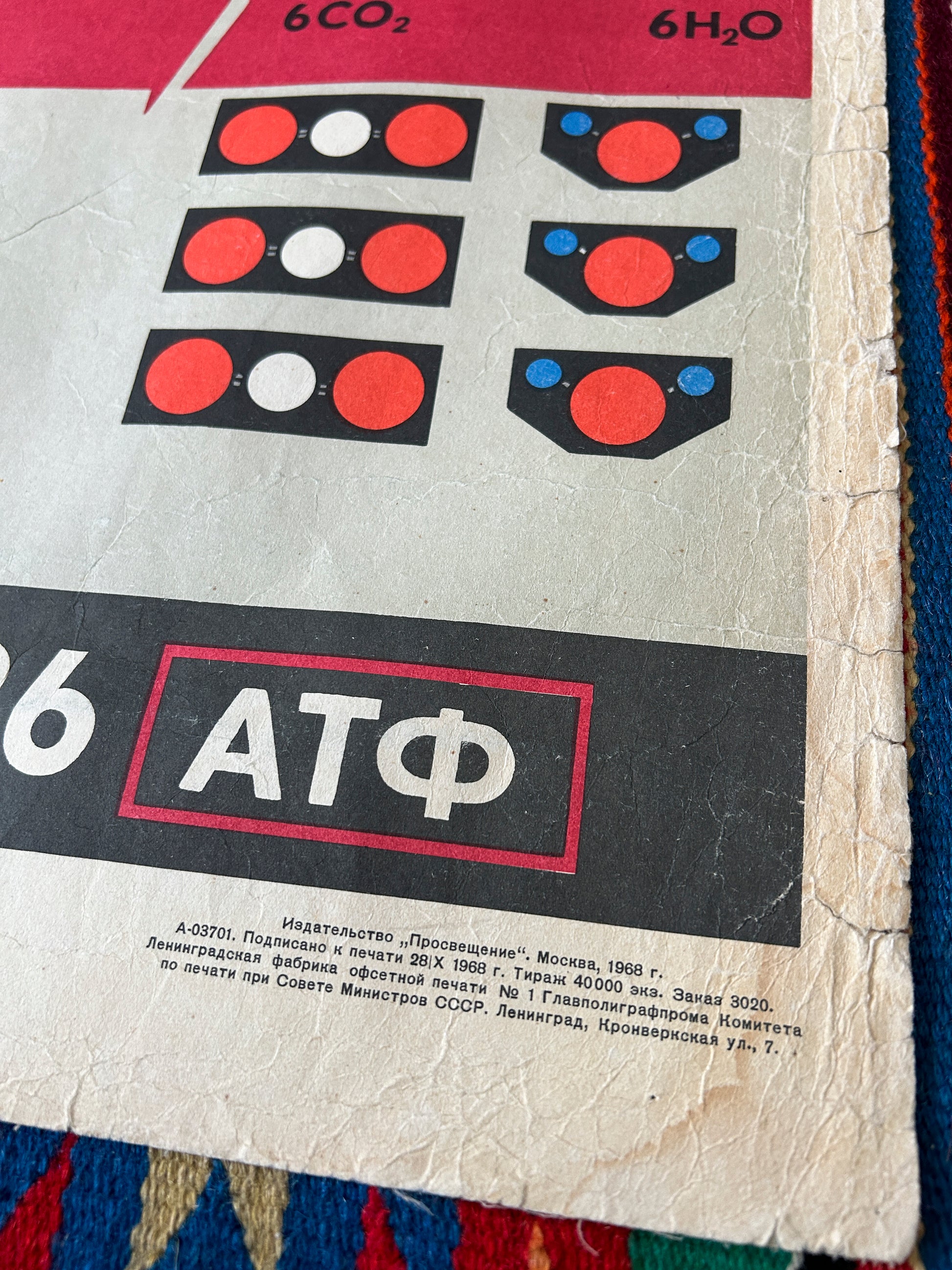 Large Soviet vintage biology school chart carbohydrate metabolism from 1968