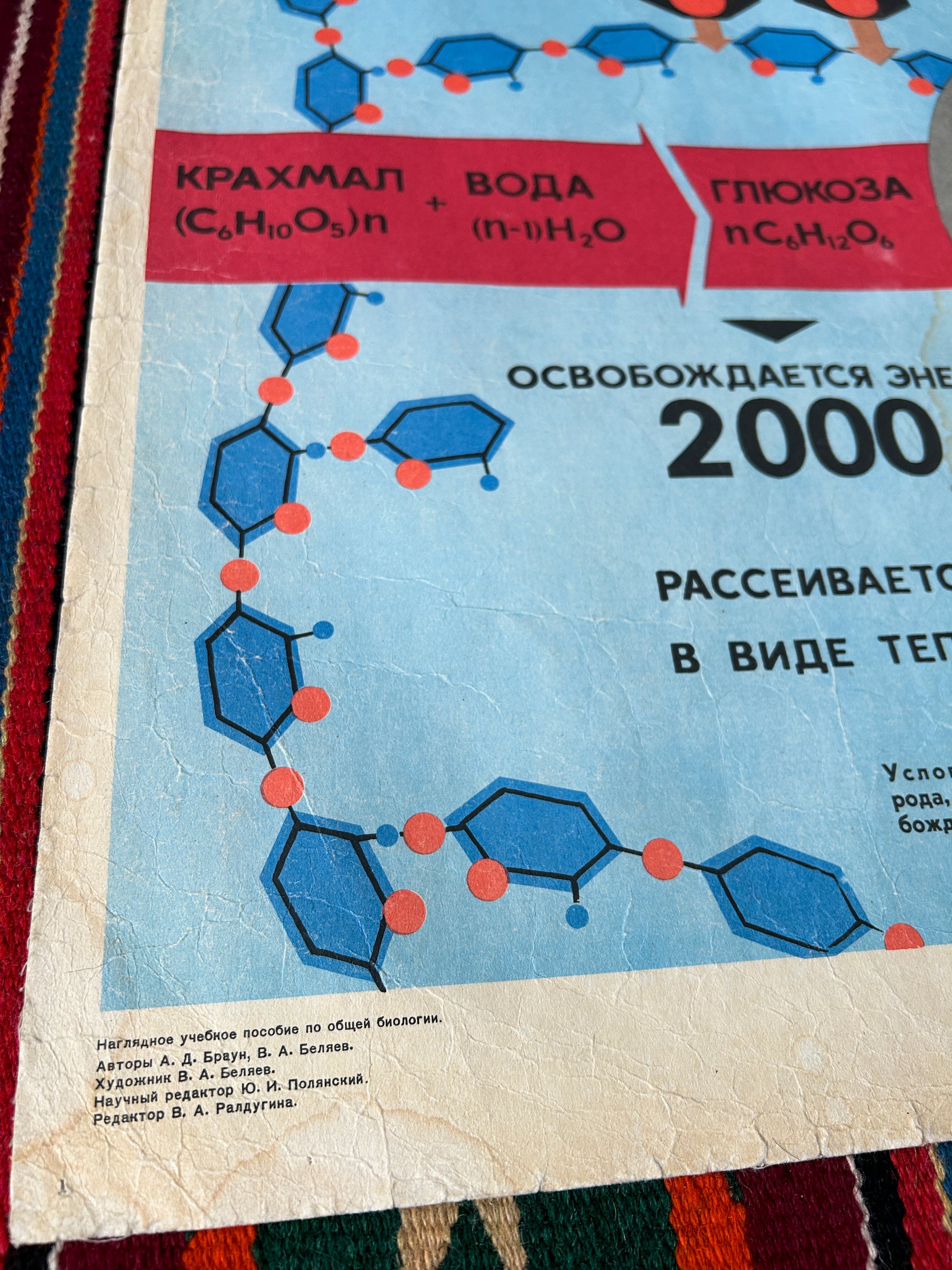 Large Soviet vintage biology school chart carbohydrate metabolism from 1968