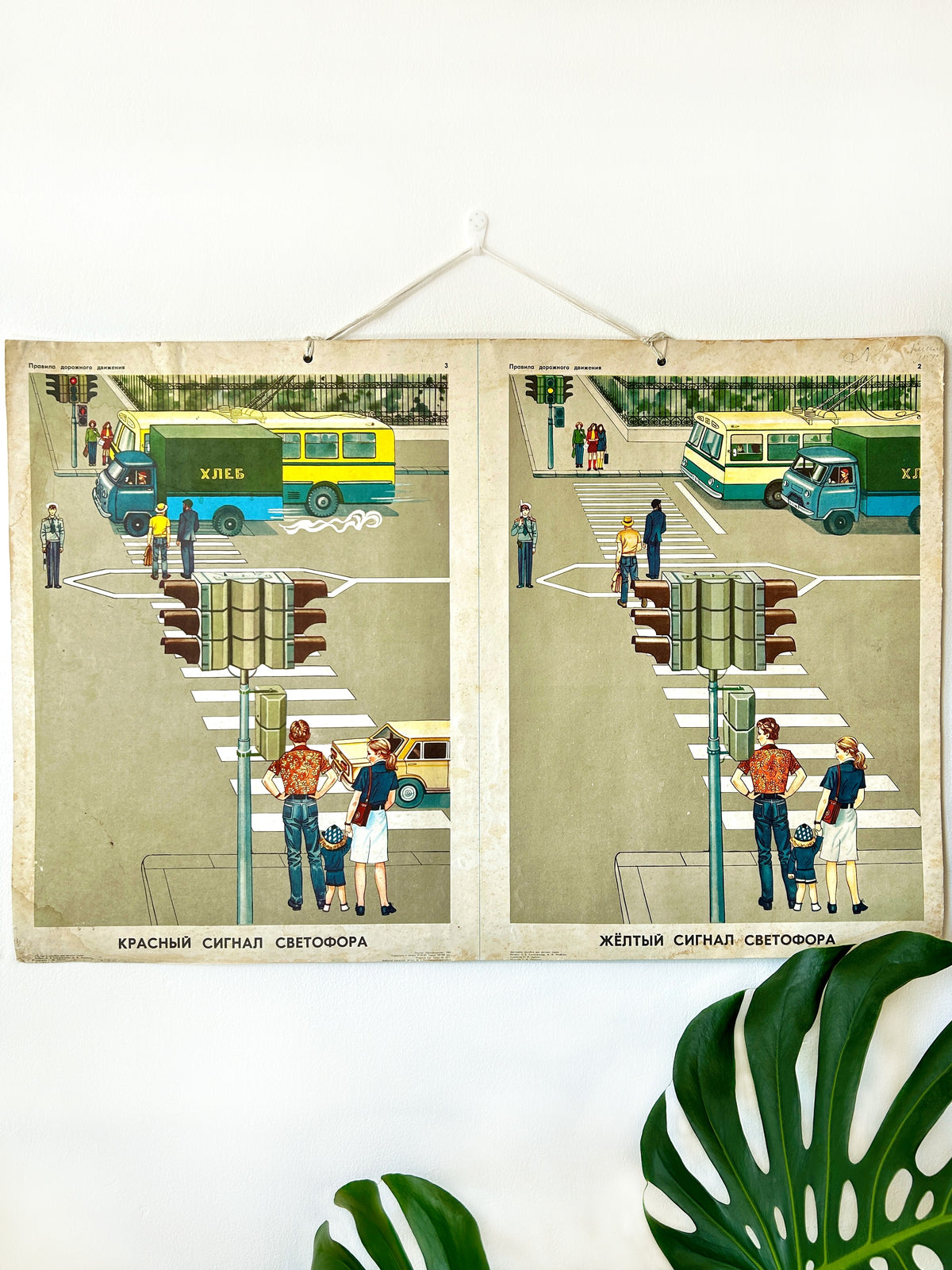 A large USSR vintage chart depicting a family using a zebra crossing to cross the road, used in kindergartens and schools to teach children road safety, traffic signs, and pedestrian etiquette, hanging on a white wall with a Monsterra leaf below.