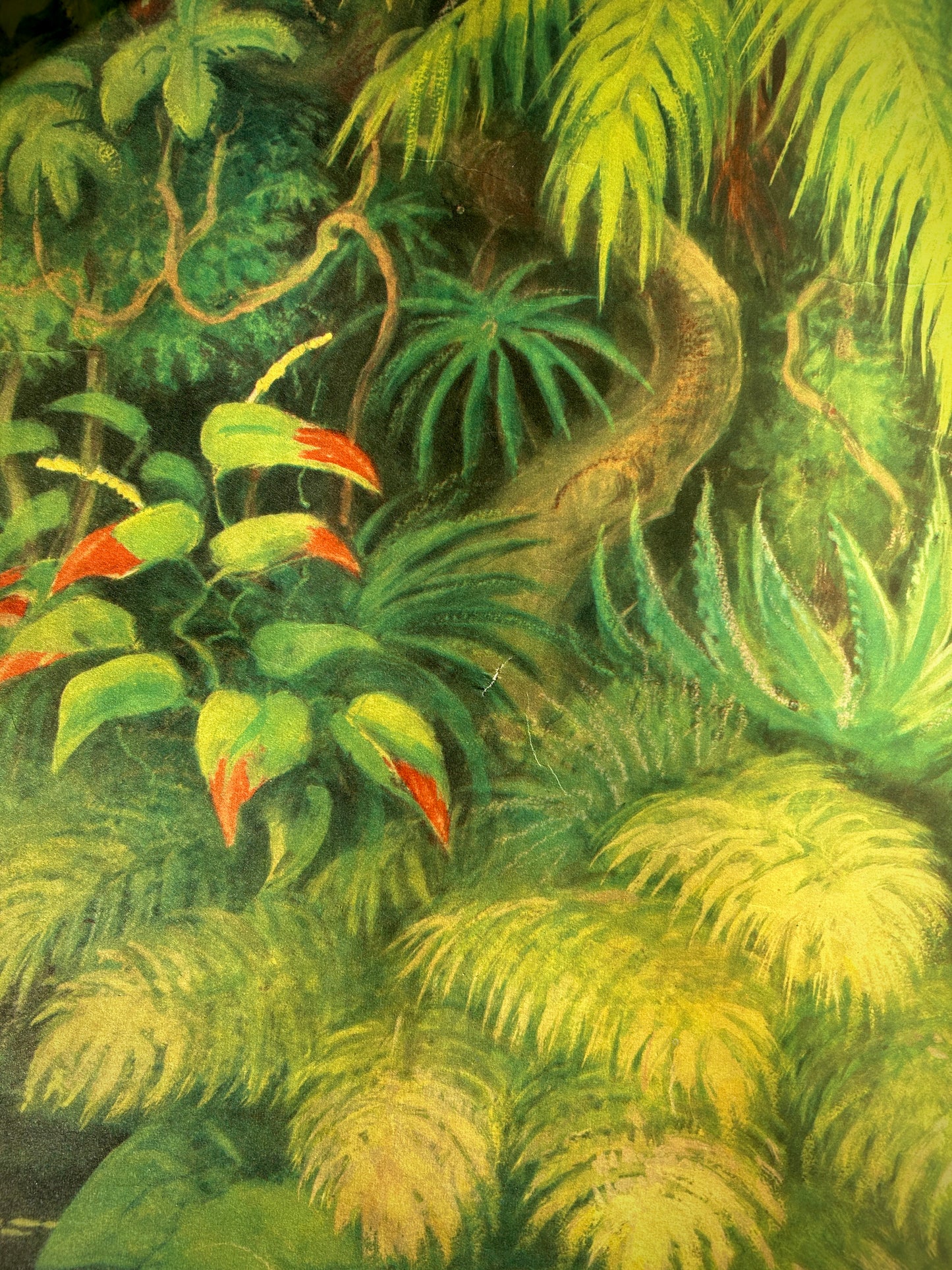 Original Soviet Vintage Educational Wildlife Poster – Animals of Equatorial Forests of South America: Jaguar, Anaconda, Howler Monkey, Hummingbird | USSR School Chart