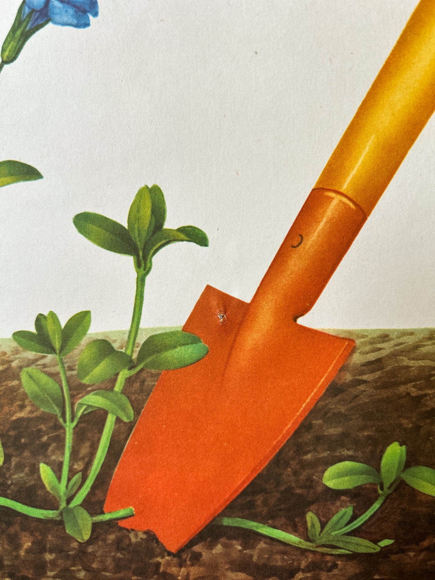 Propagating Perennial Plants - Original Soviet Vintage Educational School Poster | USSR Botanical School Chart