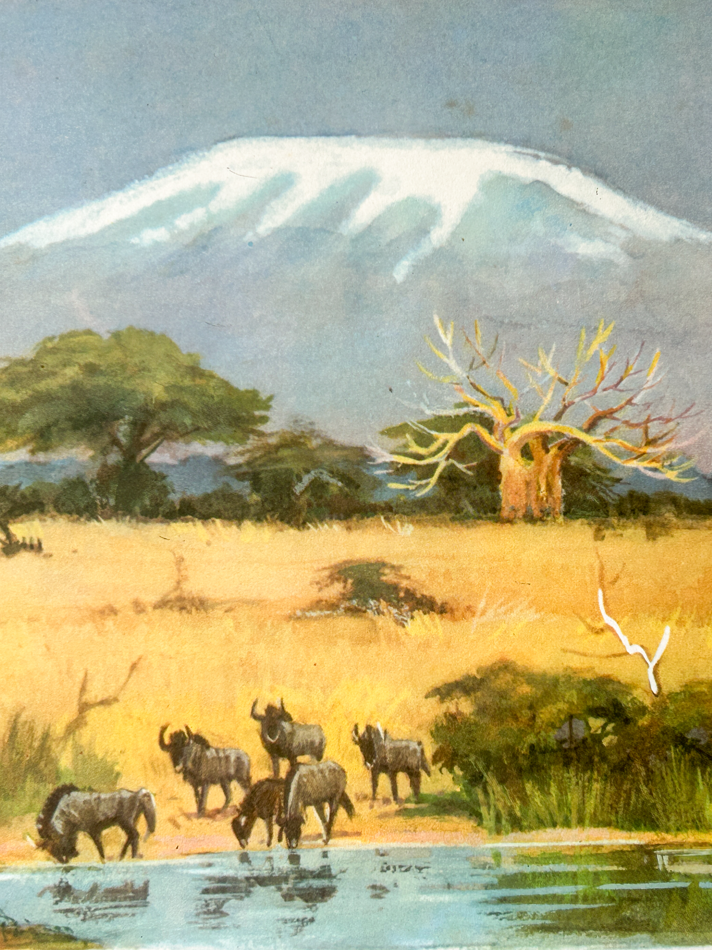 Original Soviet Vintage Educational Wildlife Poster – Animal World of African Savanna: Giraffe, Lion, Zebra, Hippopotamus, Rhinoceros, Wildebeest | USSR School Chart