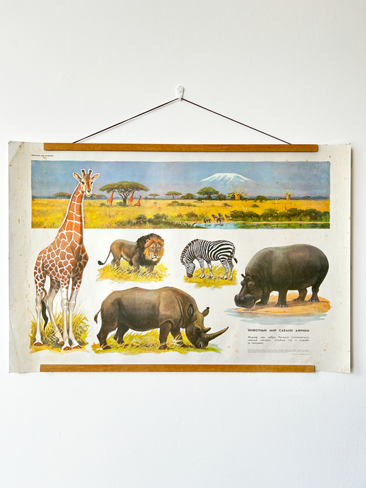 Original Soviet Vintage Educational Wildlife Poster – Animal World of African Savanna: Giraffe, Lion, Zebra, Hippopotamus, Rhinoceros, Wildebeest | USSR School Chart