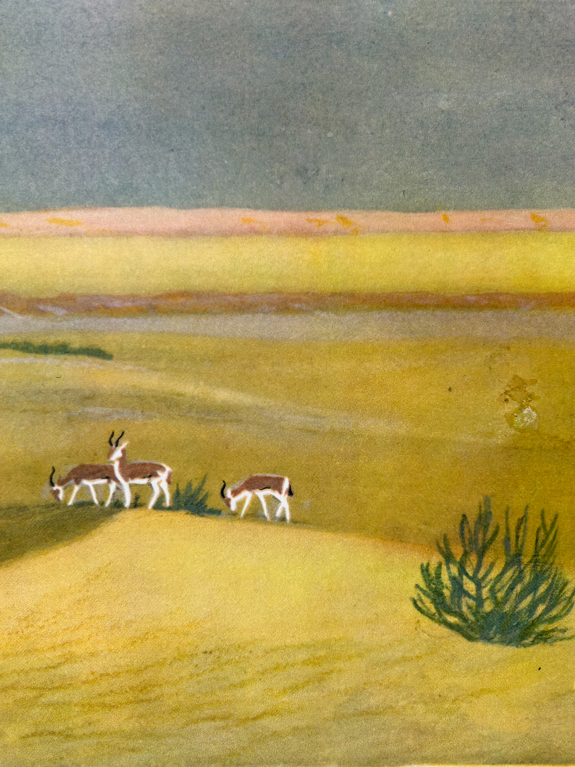 vintage illustration of three gazelles in a native landscape of a Sahara desert