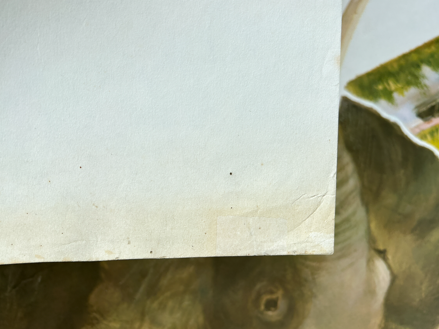 Original Soviet Vintage Educational Wildlife Poster – Animal World of African Savanna: Nile Crocodile, Elephant, Ostrich, Cheetah | USSR School Chart