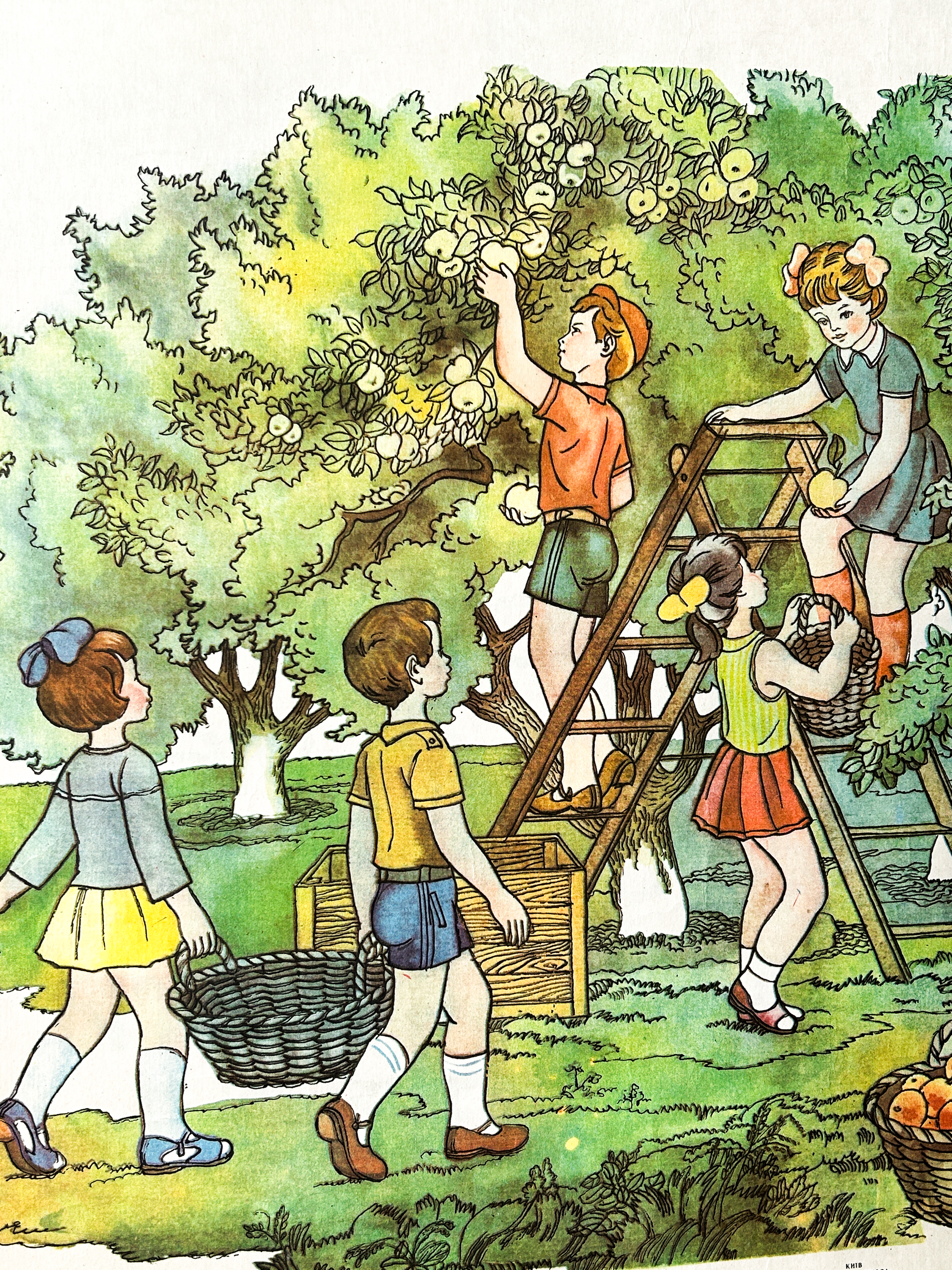 Ukrainian Vintage children's alphabet poster with a family apple harvest scene and educational text 