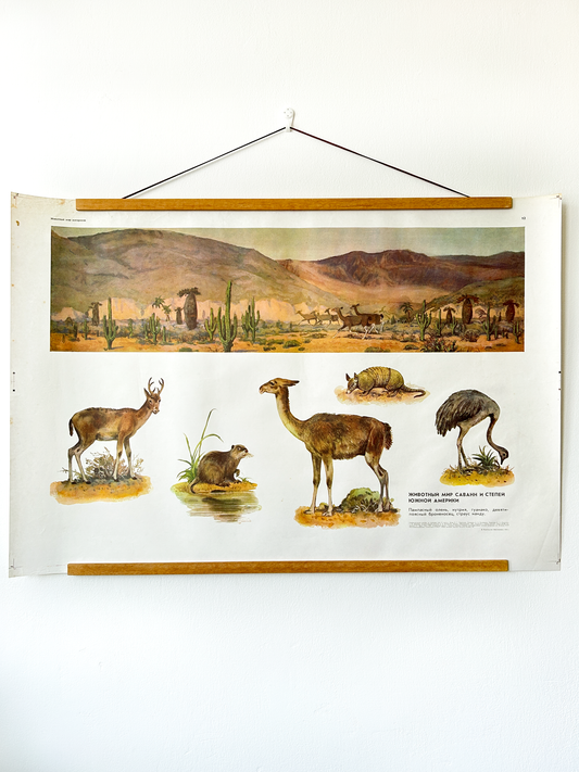 An original Soviet vintage educational poster of native North American desert animals and birds in watercolour with a mountainous landscape of their natural habitat background.