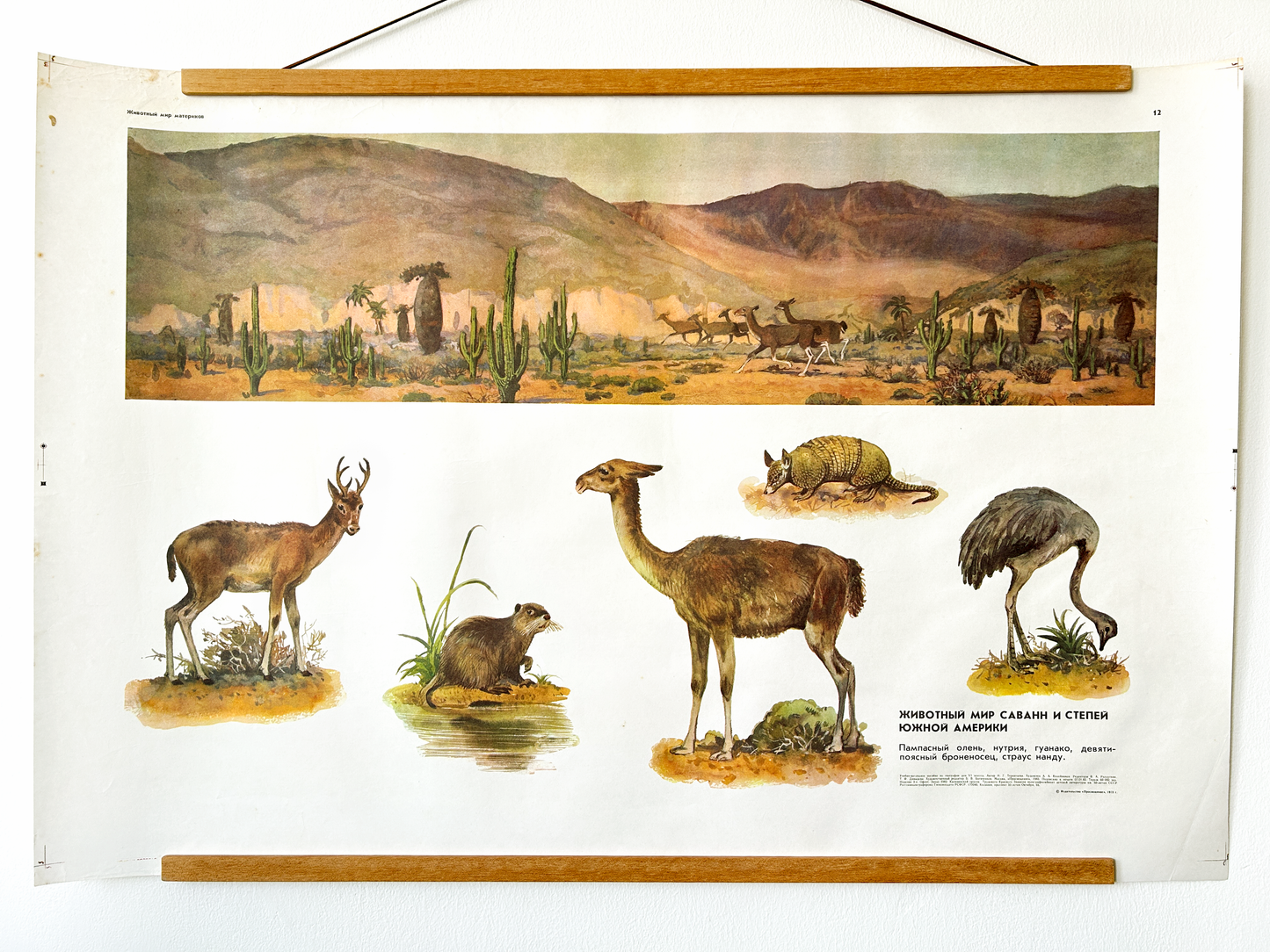Soviet vintage educational poster of South American desert animals in landscape