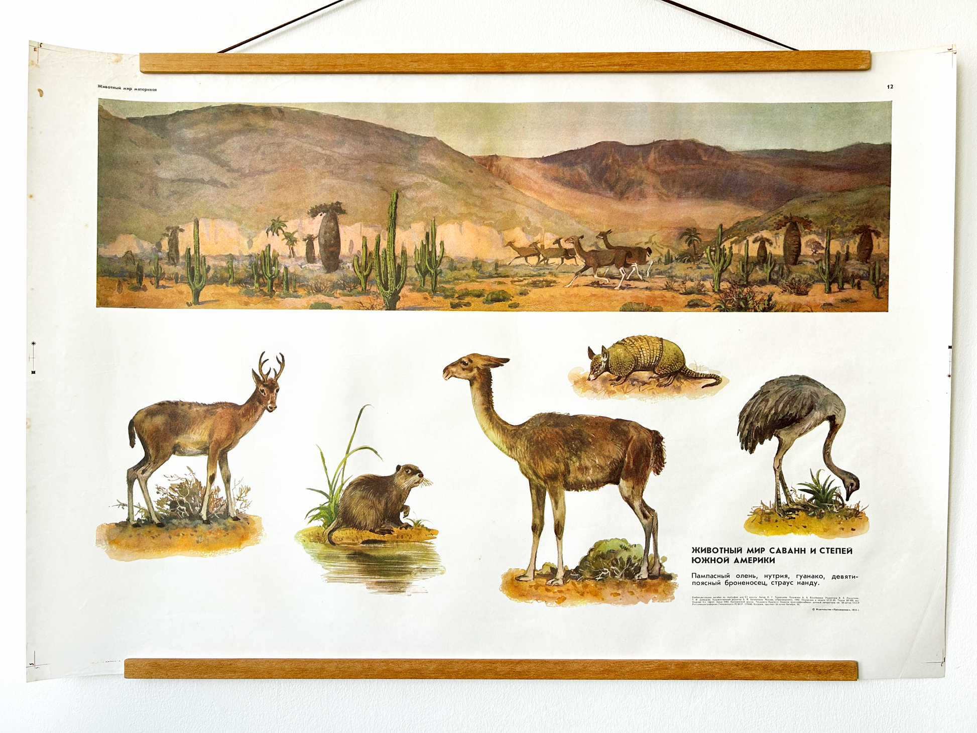 Soviet vintage educational poster of South American desert animals in landscape