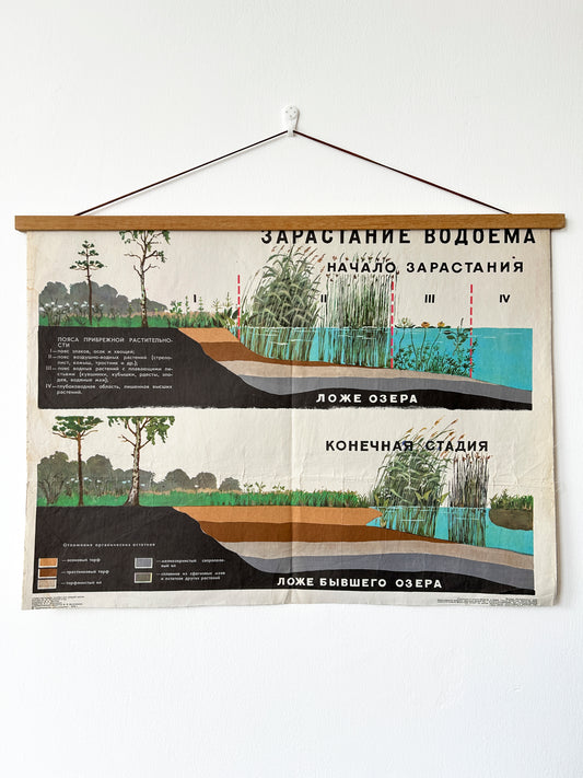 Original Soviet vintage mid-century educational school diagram from 1978 showing the ecological succession of a lake: how it gradually fills with vegetation, transitions through different plant zones, and eventually turns into a peat bog or dry land. Paper on linen.
